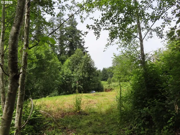 Coleman Rd, Mossyrock, WA 98564