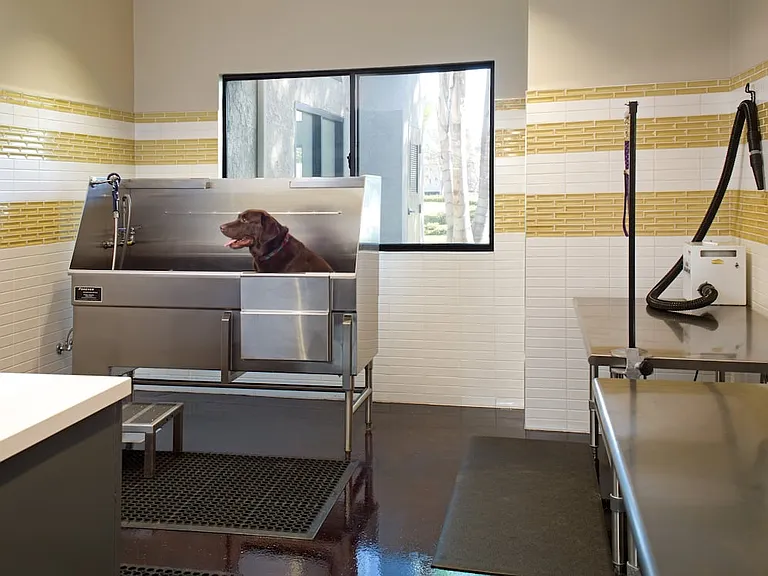WAG Pet Spa