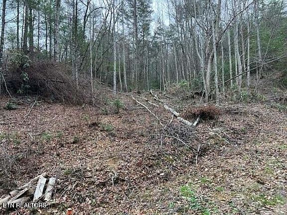 2nd image of 0 Coy Rhea Way Lot 3D