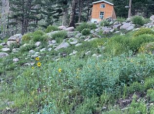 115 Hiker Ct, Alto, NM 88312