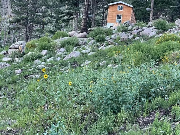 115 Hiker Ct, Alto, NM 88312
