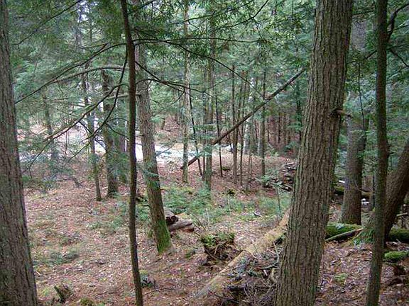 5th image of 197 Olmstedville Rd