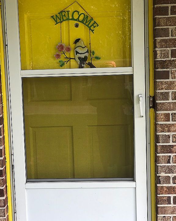 1st image of 2405 Glen Haven Dr