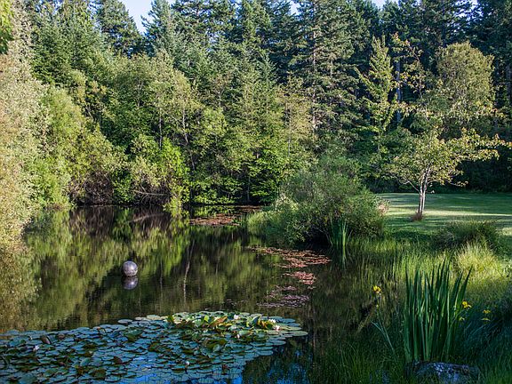 One of Three Ponds