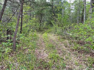 Al Martin Rd, Robbins, TN 37852