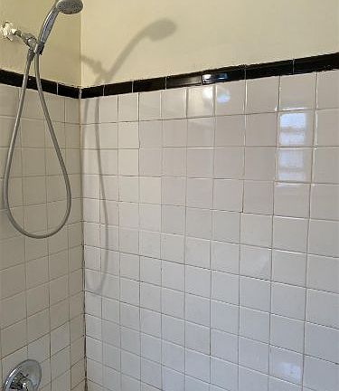 3rd image of 165 Vroom St APT 1L