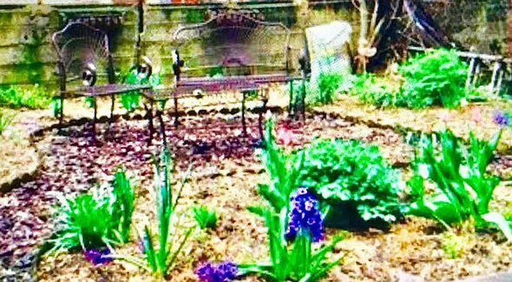 Rented by Axxess Realty Group | media 9