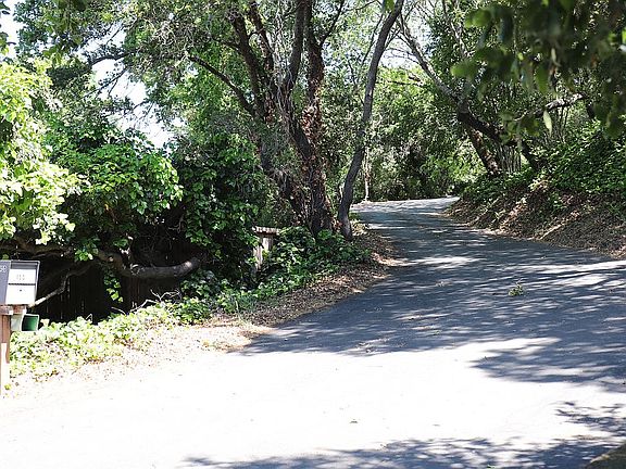 Private Road to driveway