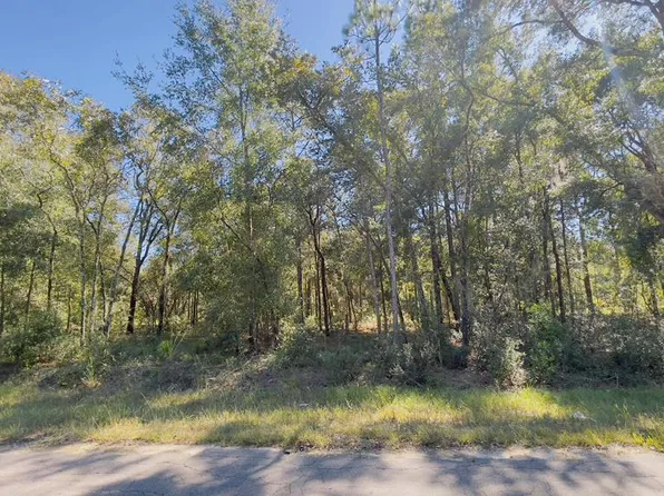 Lot 1 NE 15th St, Williston, FL 32696