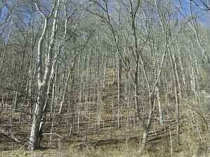 4th image of 901 Seneca Trl S