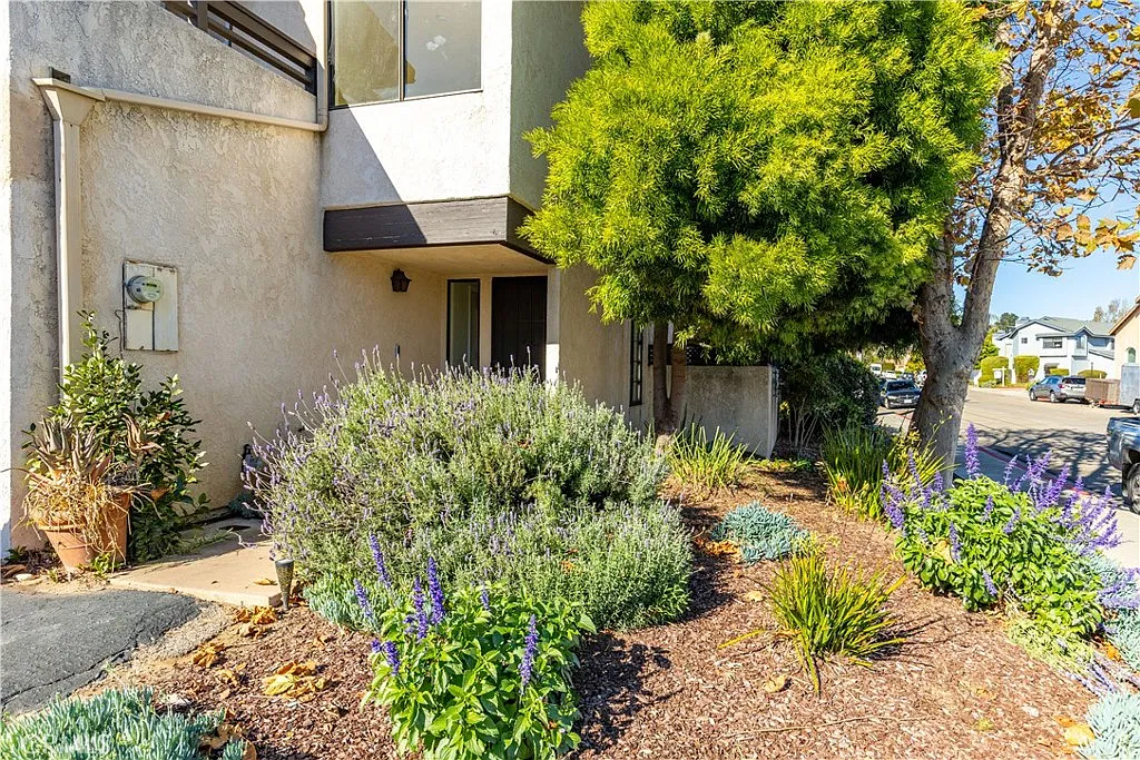 2 bed, 1155 sqft, $2,900 — Photo 1