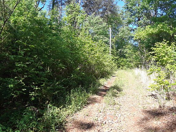 3rd image of Hillard Ln