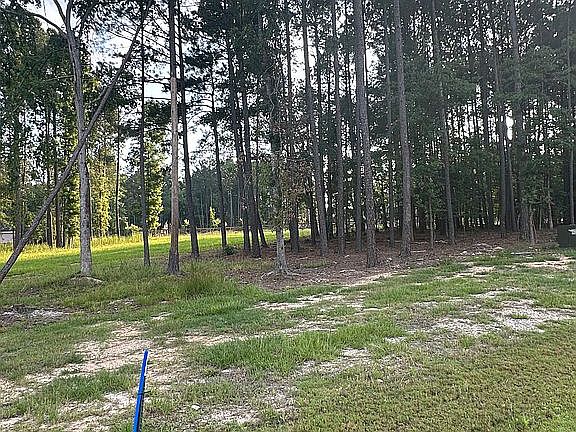 Lot 111 aka 349 Stewart Land