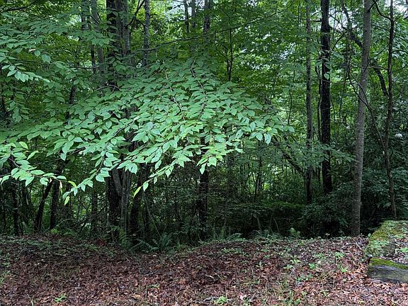 5th image of Lot 14 Mountain Vista Lane LOT 14