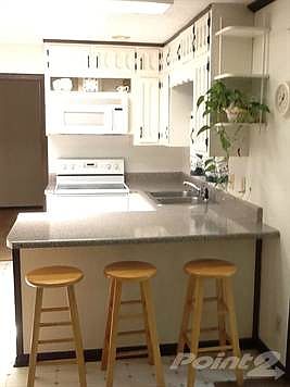 Bright Kitchen with Natural Light