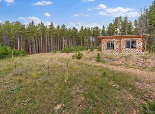 101 Sioux Trl, Evergreen, CO 80439