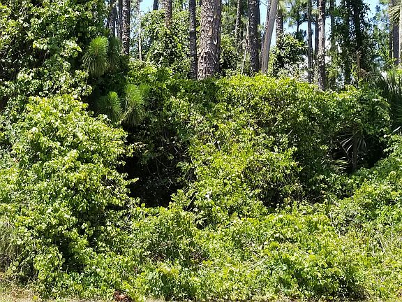 5th image of 116 Muirfield Dr