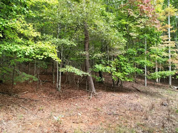 32 Cold Springs Rd, Morganton, GA 30560