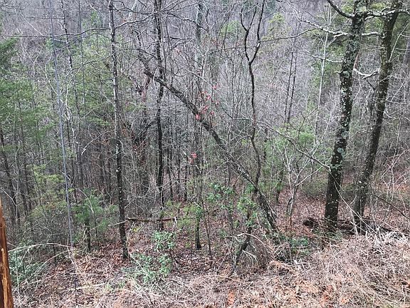 4th image of Overholt Trl
