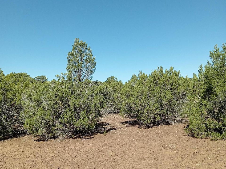 2nd image of County Road 3197 Lot 46
