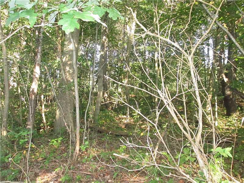 2nd image of LOT 225 Shearsburg Allegheny Twp