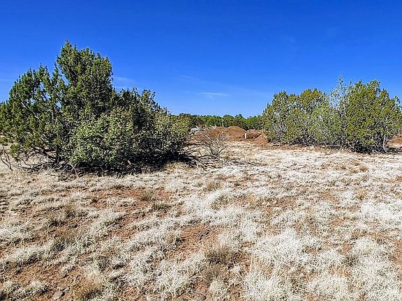 4th image of 1638 Trinity Pl