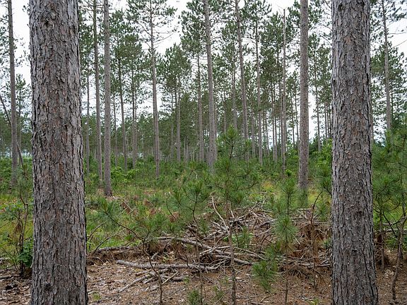 3rd image of LOT 6 Bollig Ct