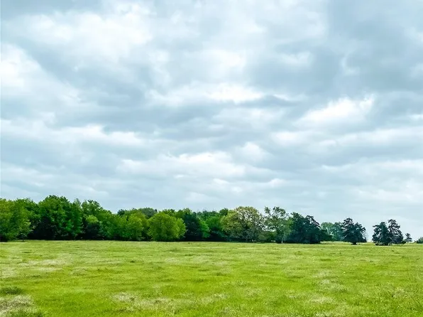 Fm 489, Donie, TX 75838