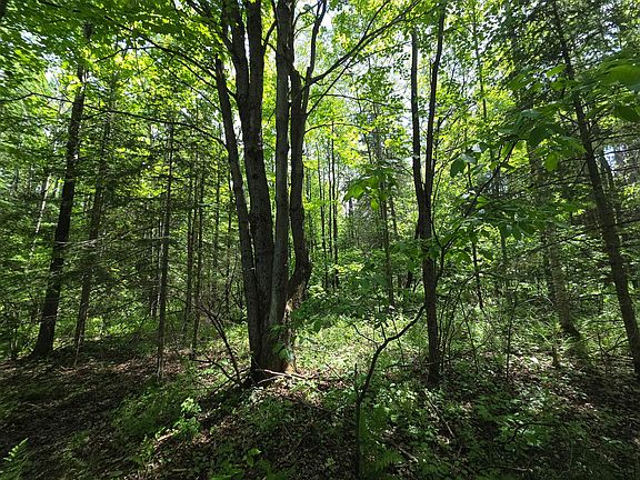 3rd image of E Solberg Lake Rd Lot 5