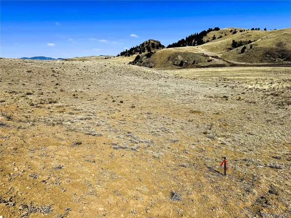 Lot 07 Cahokia Road LOT 07, Hartsel, CO 80449