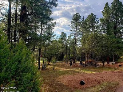 2974 Lookout Ln, Overgaard, AZ, 85933