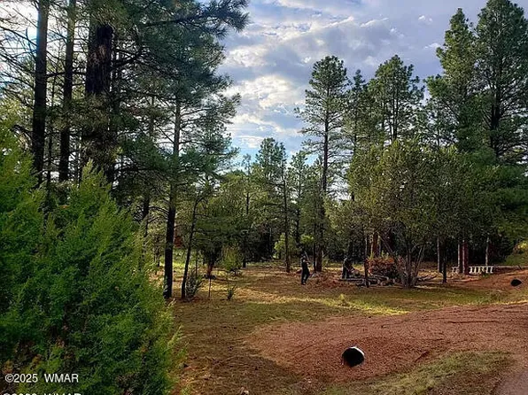 2974 Lookout Ln, Overgaard, AZ 85933