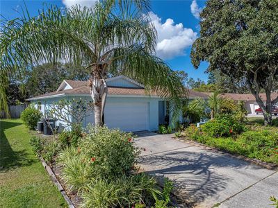 2650 Peachtree Cir E, Clearwater, FL, 33761