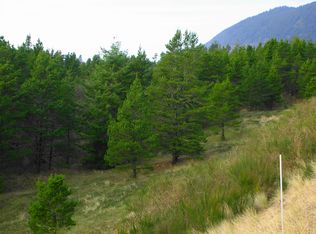 County Road, manzanita, OR 97130