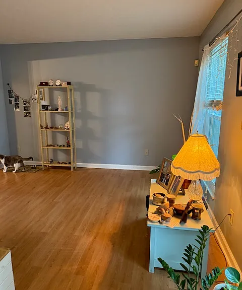 7753 Hathaway Park Ct — Photo 13