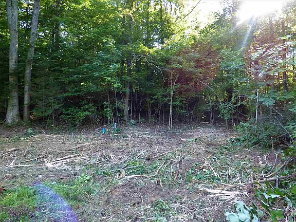 4th image of TRACT 2 Flintrock Way