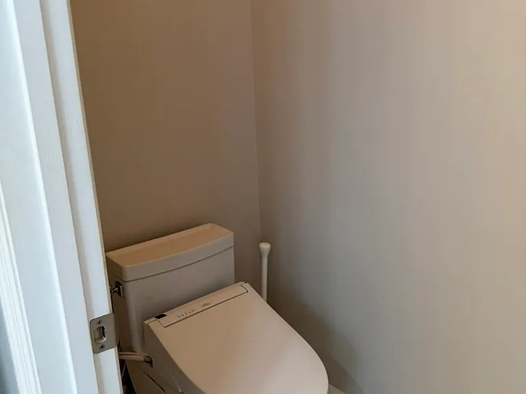 Japanese toilet with storage behind the privacy door