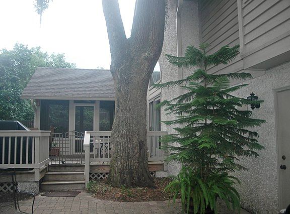 5th image of 109 Grand Oaks Ln