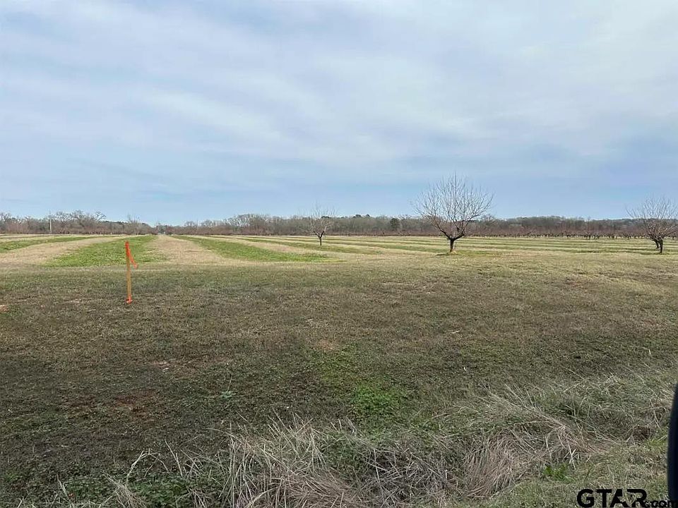 2nd image of 1 County Road 4230