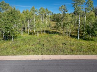 415 Oxford Ln, Woodland Park, CO 80863