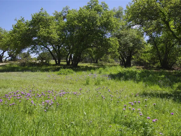 22007 Nameless Rd, Leander, TX 78641