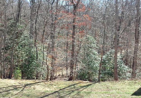 4th image of 473 Eastern View Rd
