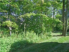 5th image of 9042 Mediterra Pl