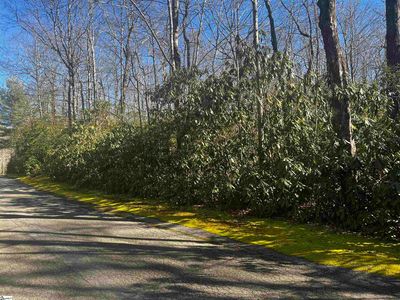 108 Hemlock Trl LOT 180, Cleveland, SC, 29635