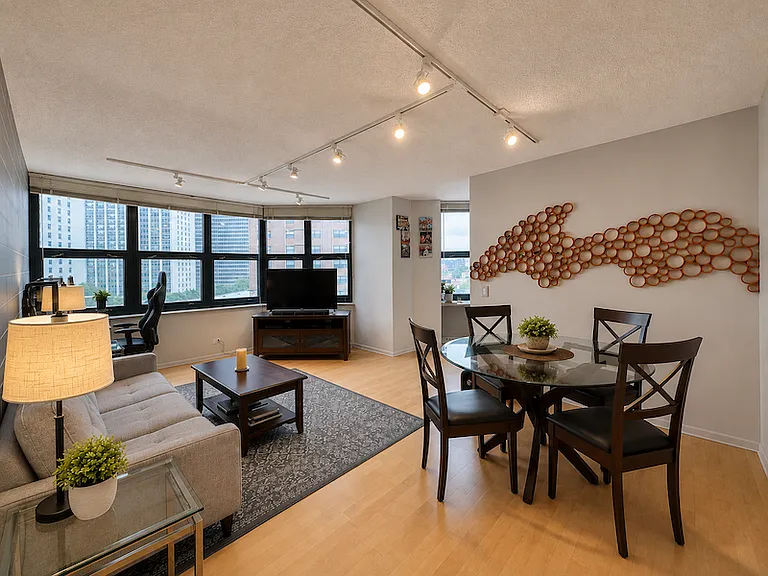 3660 N Lake Shore Dr #713 — Photo 3