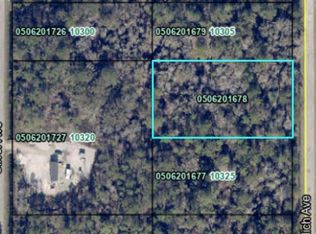 10315 Nikolich Ave, Hastings, FL 32145