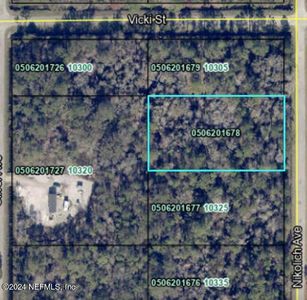 10315 NIKOLICH Avenue, Hastings, FL, 32145