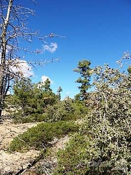 3rd image of 6382 Old Forest Trl