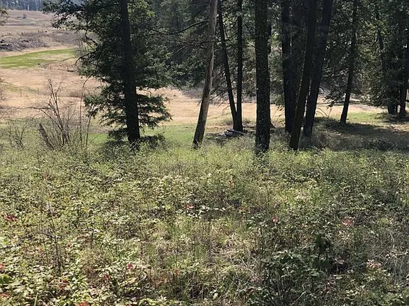 895 Evergreen Way, Colville, WA 99114
