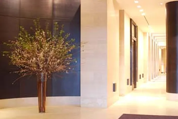 Rented by Nest Seekers International | media 17